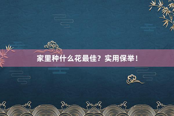 家里种什么花最佳？实用保举！