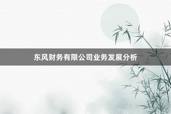 东风财务有限公司业务发展分析